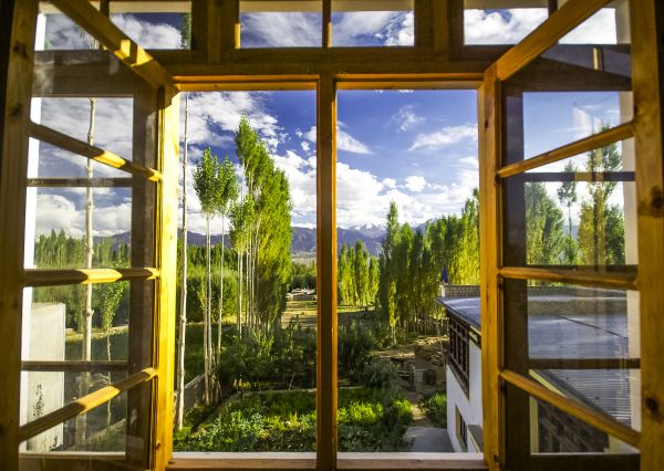 Wood Window Replacement in Olathe