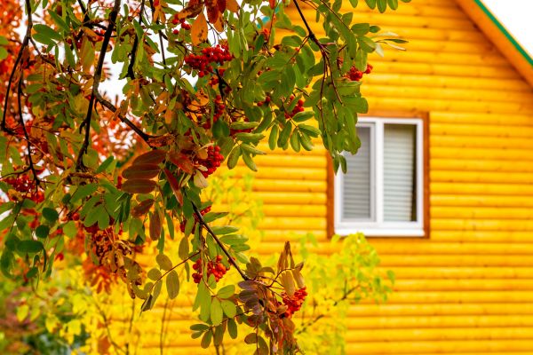 Cost of Garden Window Replacement in Olathe
